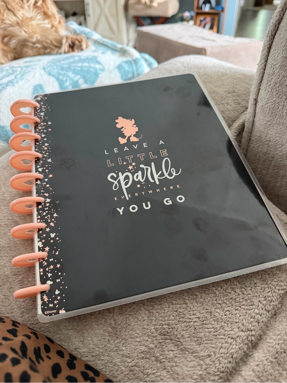 Disney Minnie Mouse Planner